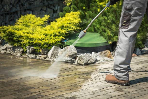 Best Boat and Dock Cleaning  in Eagle Lake, TX