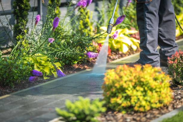 Best Restaurant Pressure Washing  in Eagle Lake, TX