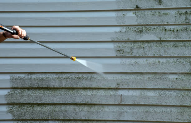 Best Solar Panel Cleaning  in Eagle Lake, TX