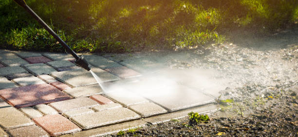 Best Driveway Pressure Washing  in Eagle Lake, TX