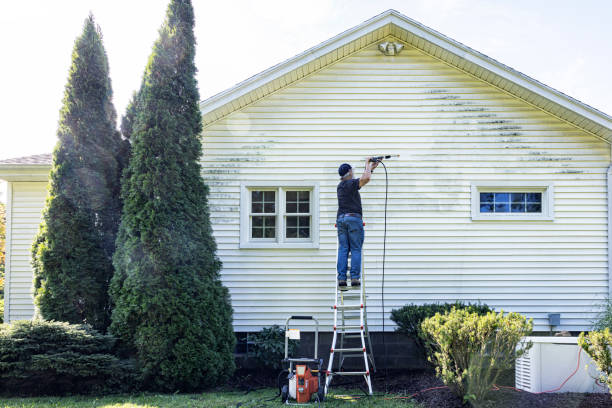 Best Sidewalk and Walkway Cleaning  in Eagle Lake, TX